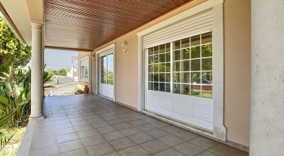 House T5 in Meirinhas of 640 m²