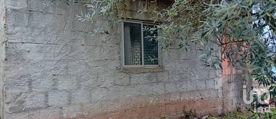 House T3 in São Miguel, Santa Eufémia e Rabaçal of 849 m²