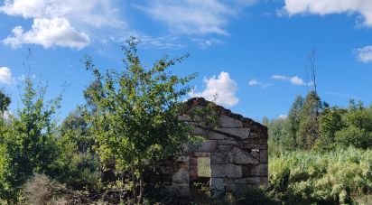 Terrain agricole à Seixo da Beira de 31 075 m²