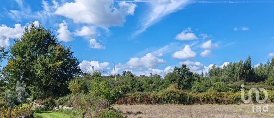 Farm land in Seixo da Beira of 31,075 m²