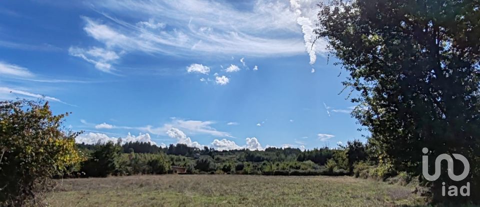 Farm land in Seixo da Beira of 31,075 m²