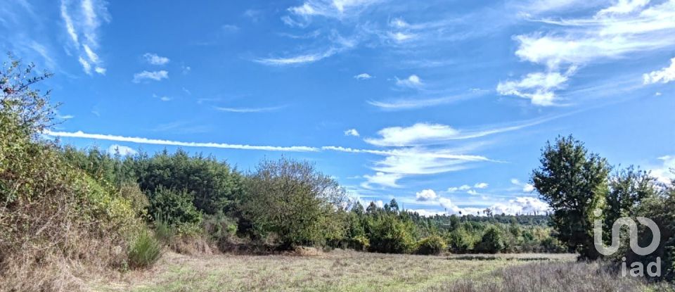 Farm land in Seixo da Beira of 31,075 m²