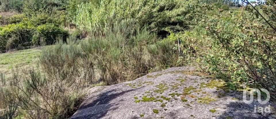 Farm land in Seixo da Beira of 31,075 m²