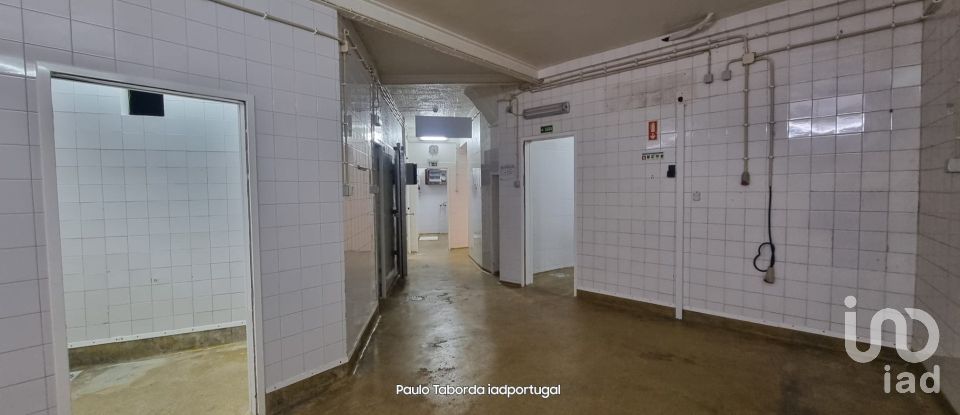 Shop / premises commercial in Tolosa of 158 m²