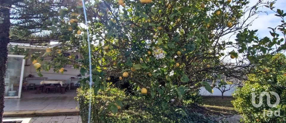 Moradia T3 em Miragaia e Marteleira de 382 m²