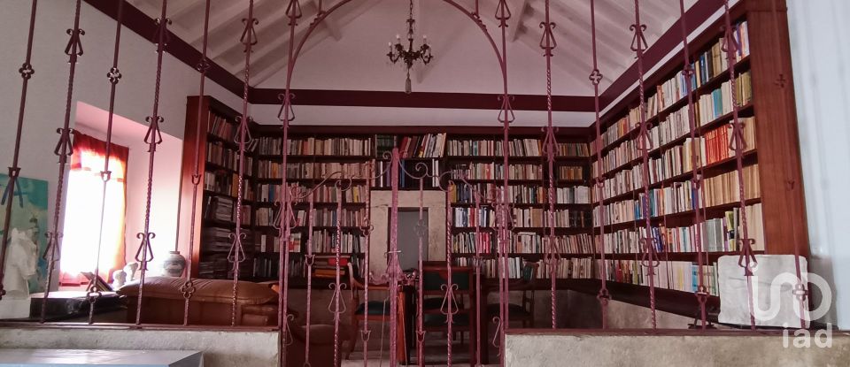 Moradia T3 em Miragaia e Marteleira de 382 m²