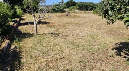 Land in Almancil of 1,265 m²