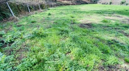 Land in Sapardos of 1,460 m²