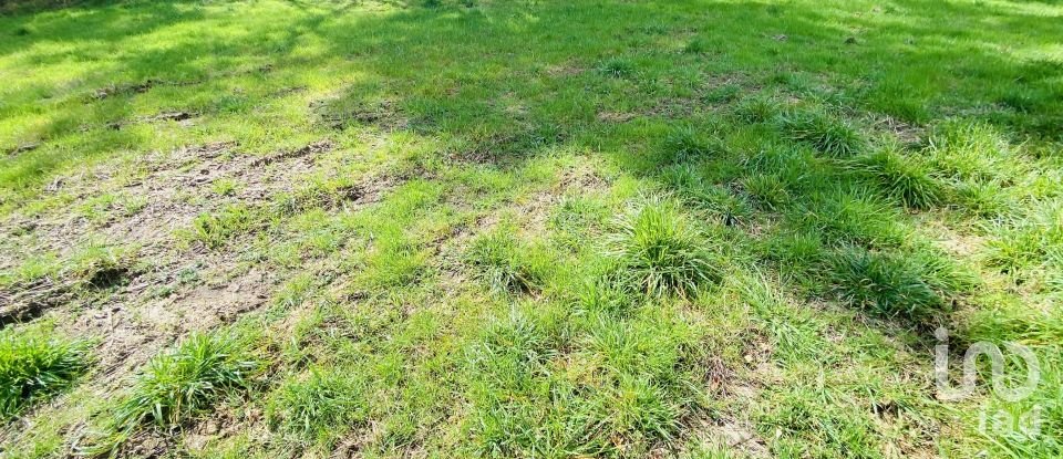 Land in Sapardos of 1,460 m²