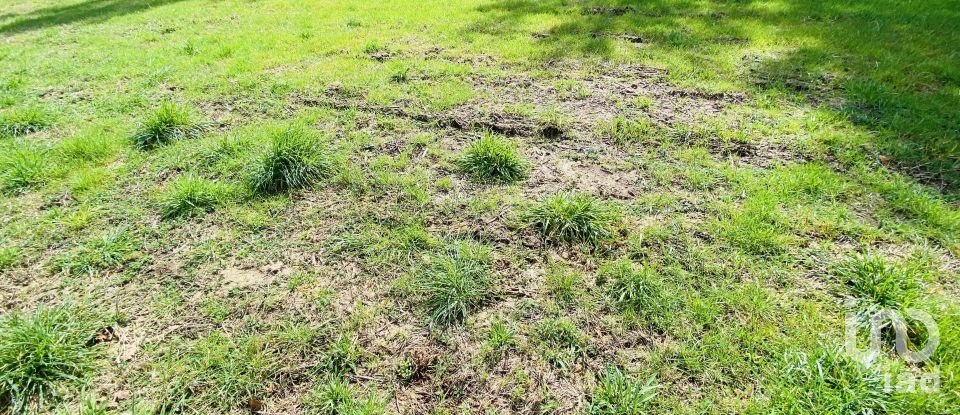 Land in Sapardos of 1,460 m²