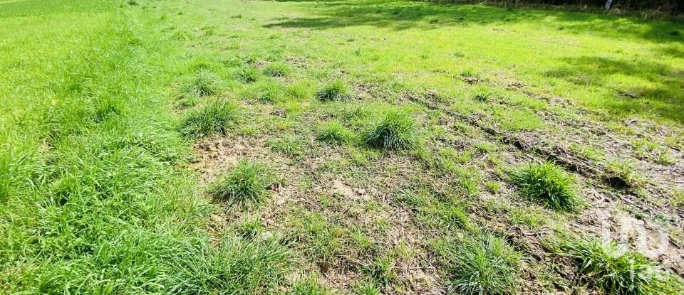 Land in Sapardos of 1,460 m²