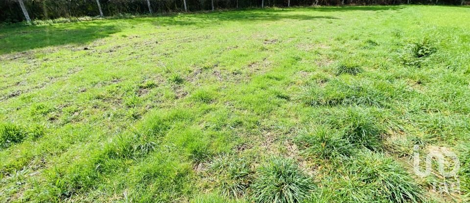 Land in Sapardos of 1,460 m²