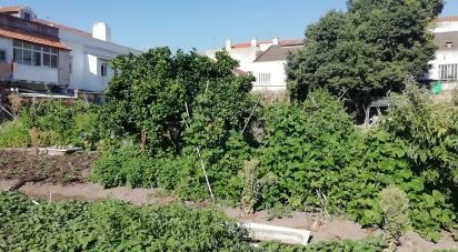 Land in Setúbal (São Julião, Nossa Senhora da Anunciada e Santa Maria da Graça) of 2,242 m²