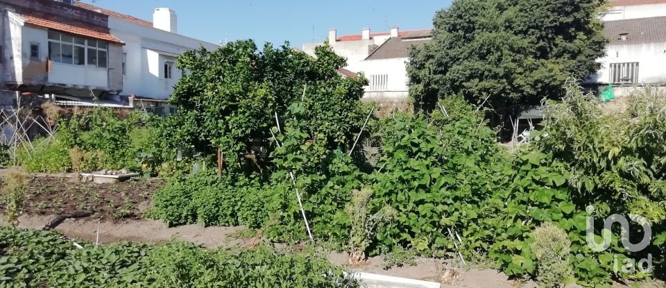 Terrain à Setúbal (São Julião, Nossa Senhora da Anunciada e Santa Maria da Graça) de 2 242 m²