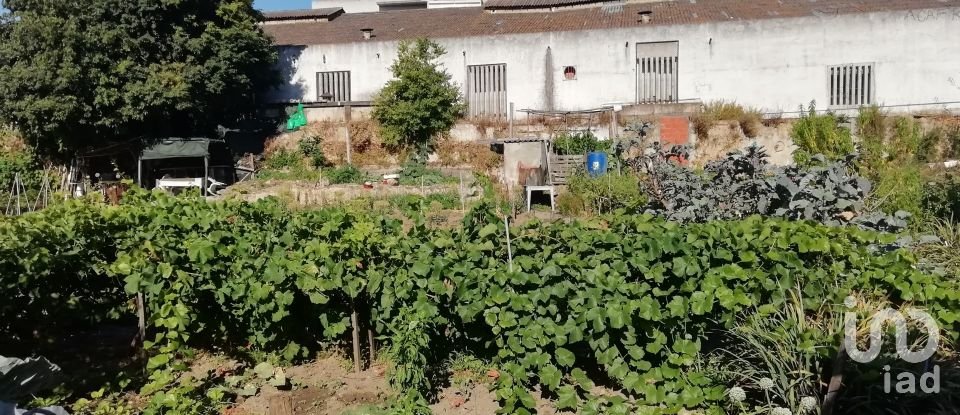 Terrain à Setúbal (São Julião, Nossa Senhora da Anunciada e Santa Maria da Graça) de 2 242 m²