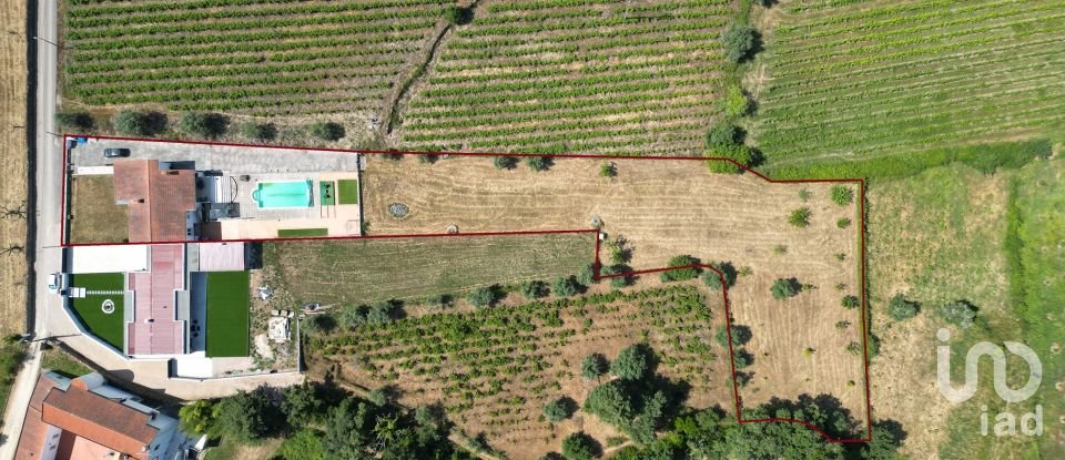 Moradia T3 em Podentes de 184 m²