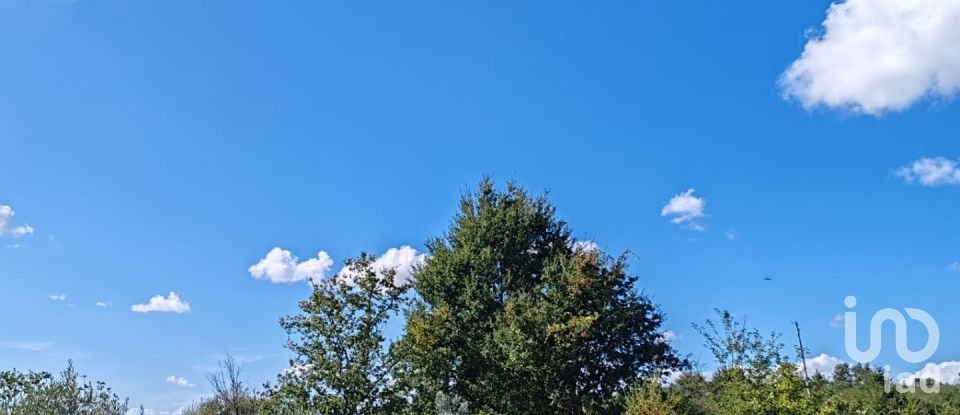 Farm land in Seixo da Beira of 31,075 m²