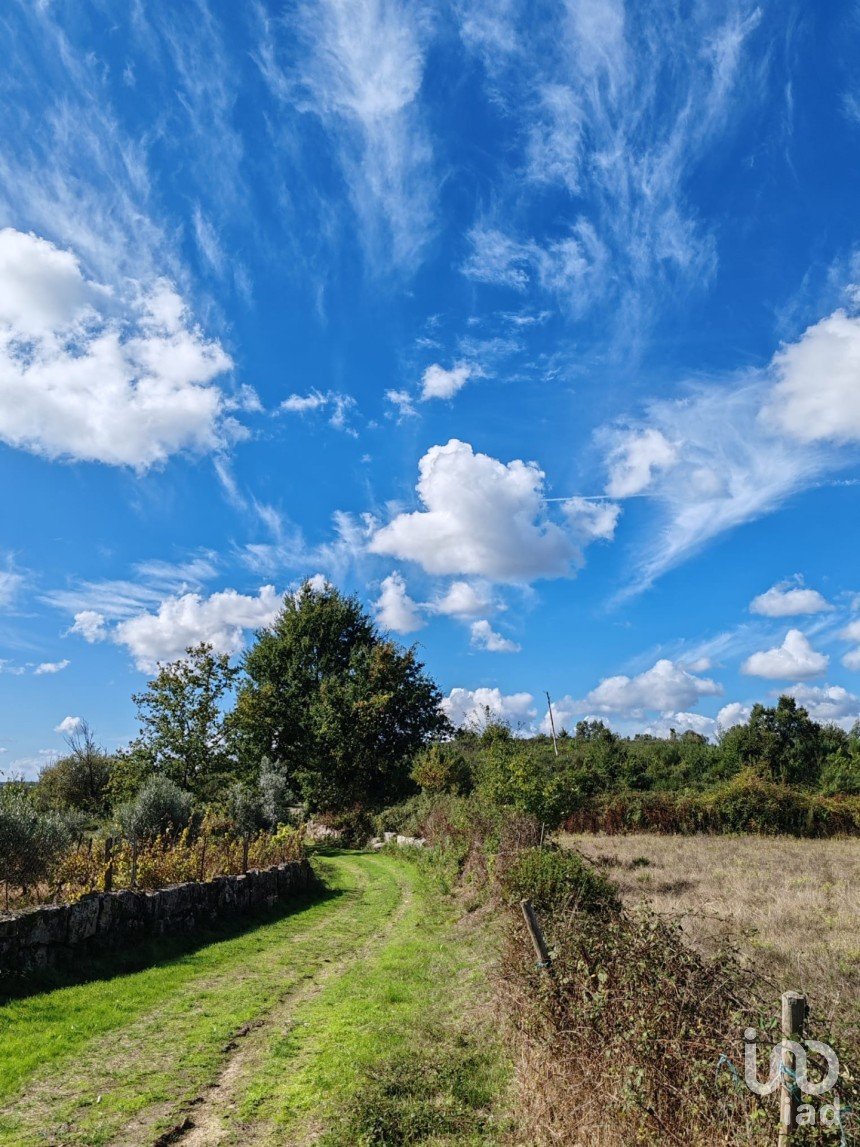 Farm land in Seixo da Beira of 31,075 m²