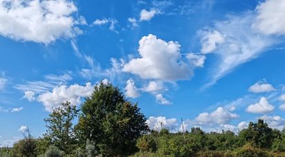 Terrain agricole à Seixo da Beira de 31 075 m²