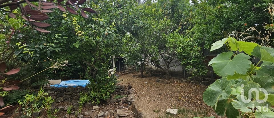 House T3 in Boliqueime of 200 m²