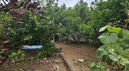 House T3 in Boliqueime of 200 m²