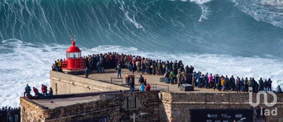 Terreno em Nossa Senhora da Piedade de 1 086 m²