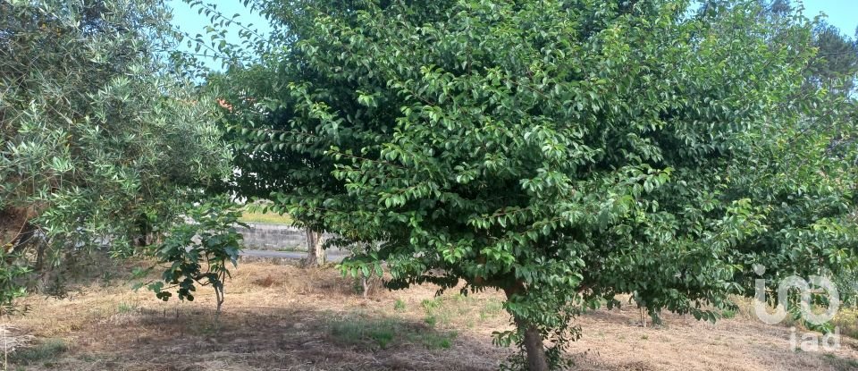 Terrain à bâtir à Arrabal de 834 m²