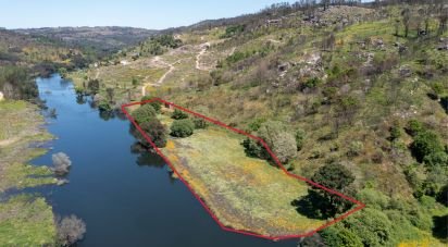 Terrain à Póvoa de Midões de 35 955 m²