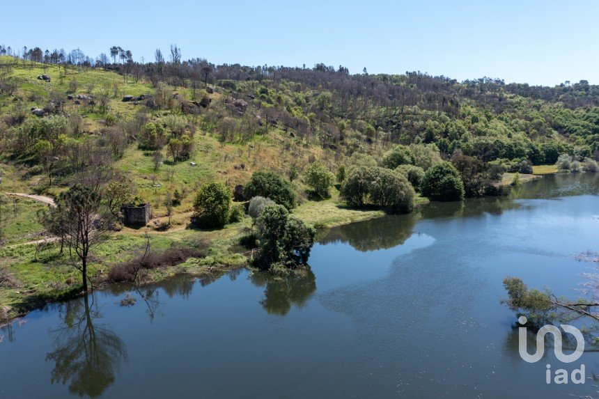 Terreno em Póvoa de Midões de 35 955 m²
