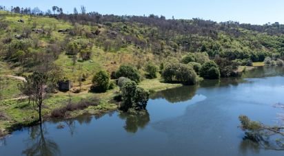 Terrain à Póvoa de Midões de 35 955 m²