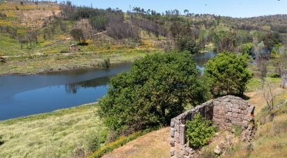 Terrain à Póvoa de Midões de 35 955 m²