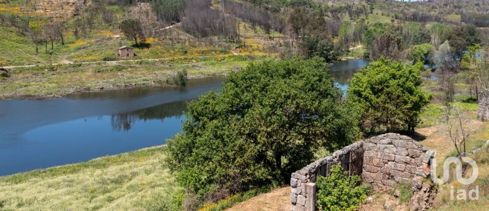 Terreno em Póvoa de Midões de 35 955 m²