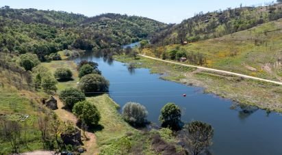 Terrain à Póvoa de Midões de 35 955 m²