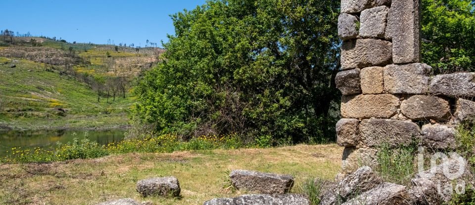 Terreno em Póvoa de Midões de 35 955 m²