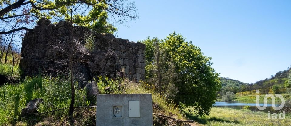 Terreno em Póvoa de Midões de 35 955 m²