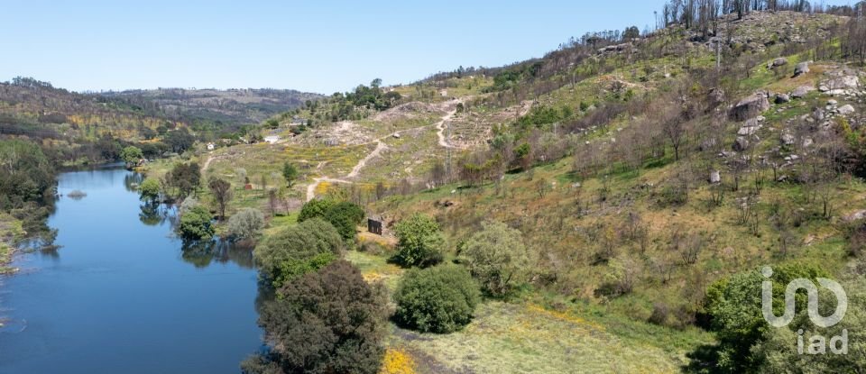 Terreno em Póvoa de Midões de 35 955 m²
