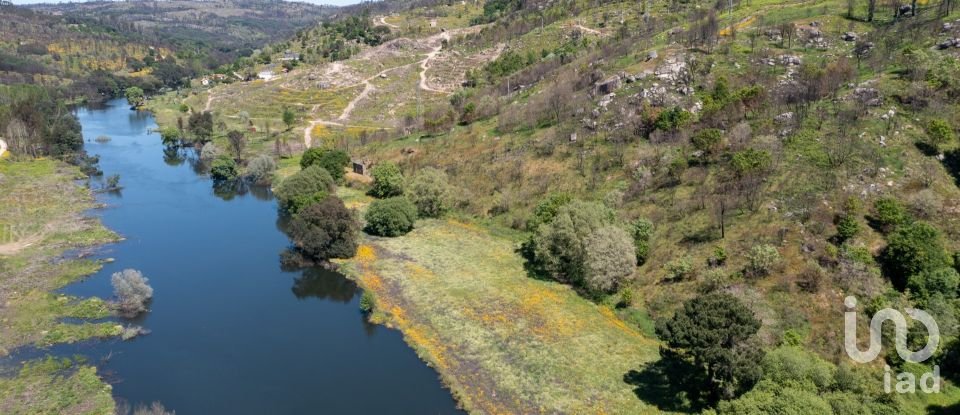 Terreno em Póvoa de Midões de 35 955 m²