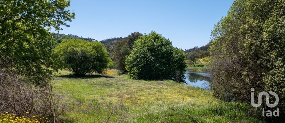 Terreno em Póvoa de Midões de 35 955 m²