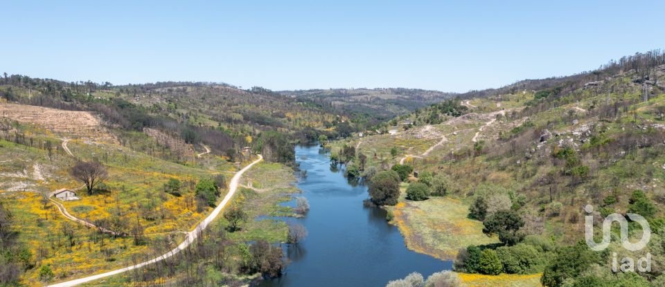 Terreno em Póvoa de Midões de 35 955 m²