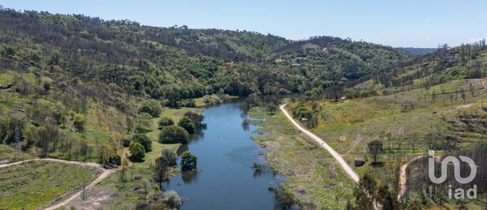 Terreno em Póvoa de Midões de 35 955 m²