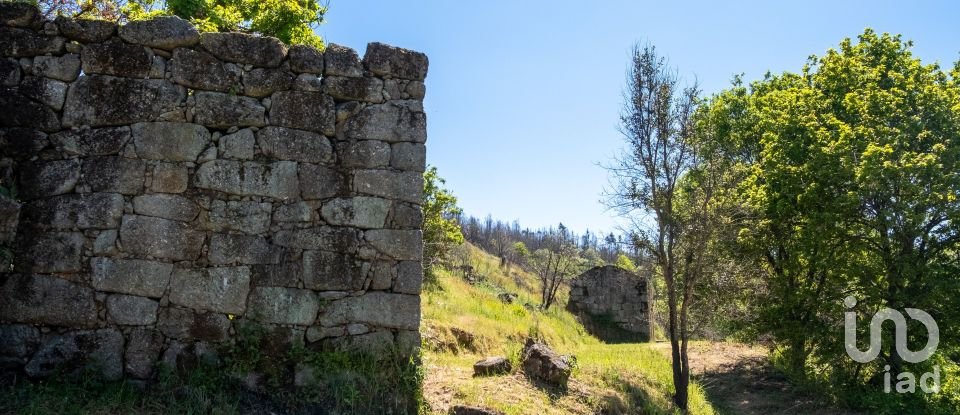 Terreno em Póvoa de Midões de 35 955 m²
