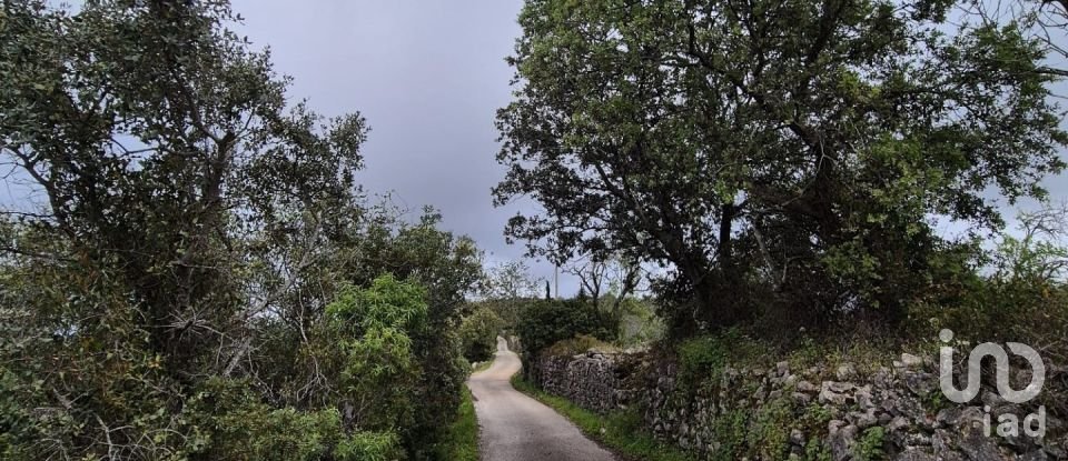 Land in Boliqueime of 1,570 m²