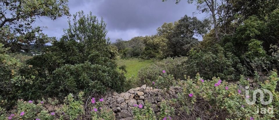 Land in Boliqueime of 1,570 m²