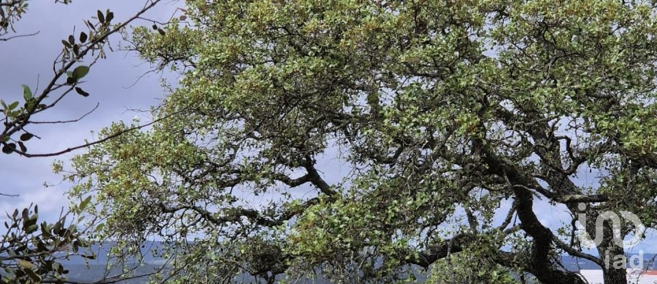 Land in Boliqueime of 1,570 m²