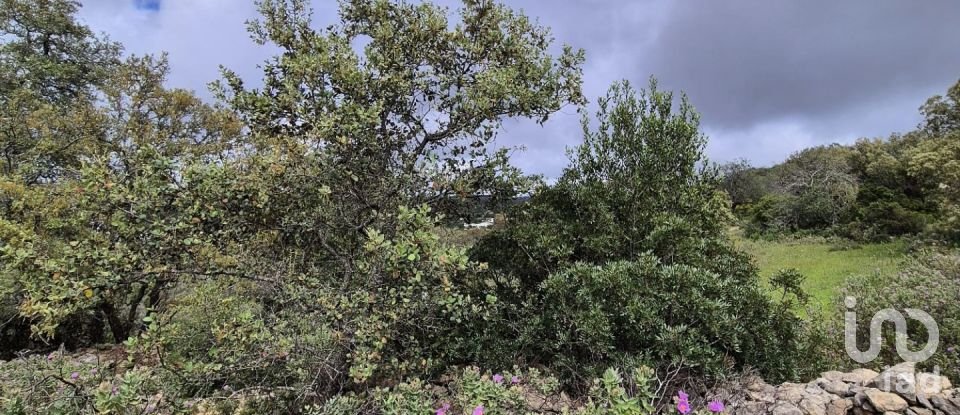 Land in Boliqueime of 1,570 m²