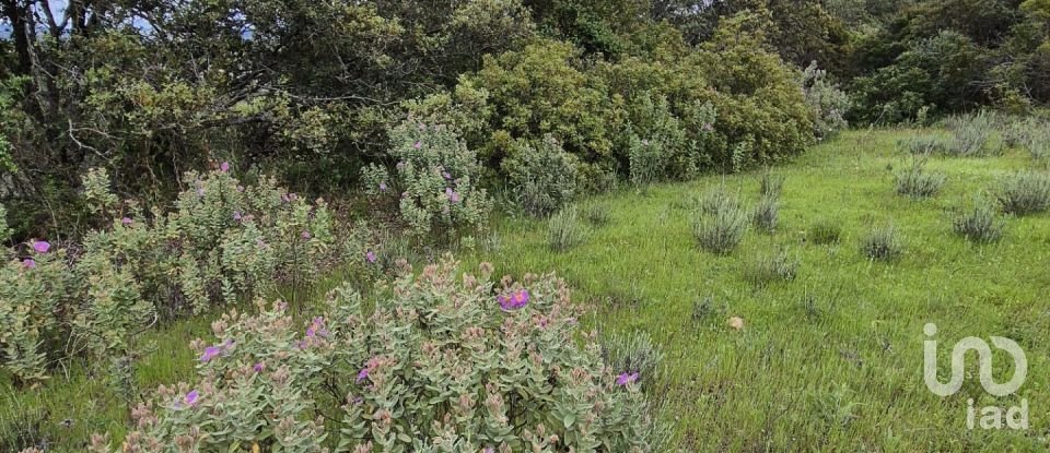 Land in Boliqueime of 1,570 m²