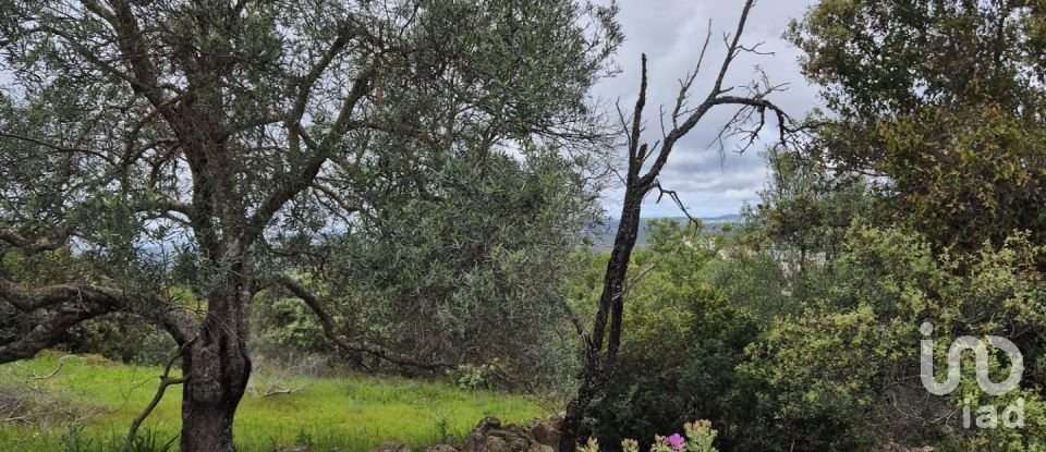 Land in Boliqueime of 1,570 m²