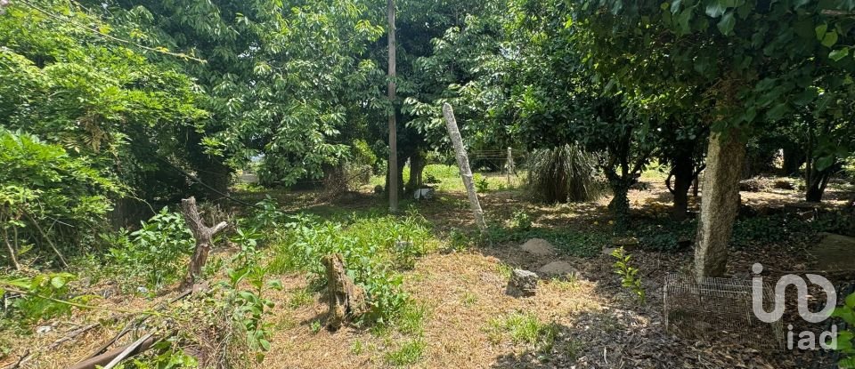 Maison T3 à Mazedo e Cortes de 200 m²