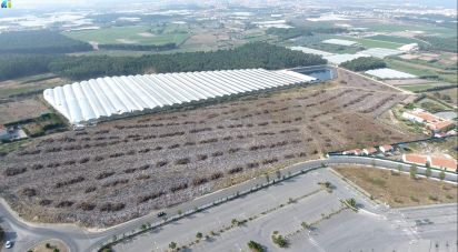 Terrain à A dos Cunhados e Maceira de 40 000 m²