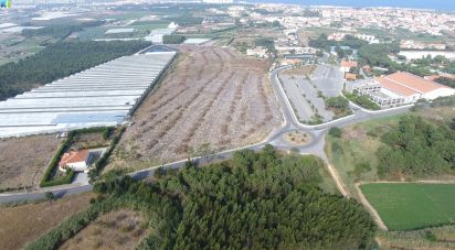 Terrain à A dos Cunhados e Maceira de 40 000 m²